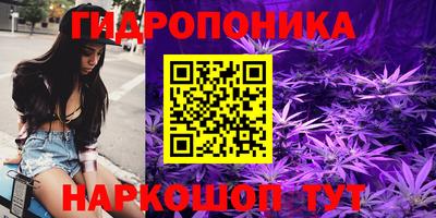 стаф Пенза