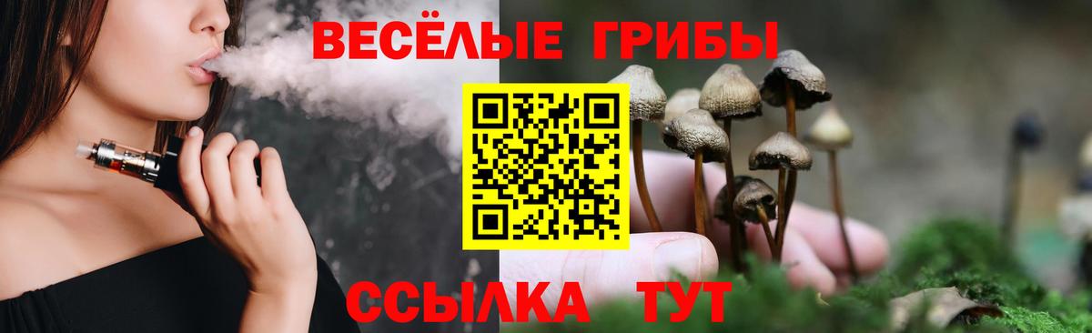 как найти закладки  Вход с VPN  Строитель  Галлюциногенные грибы Magic Shrooms 